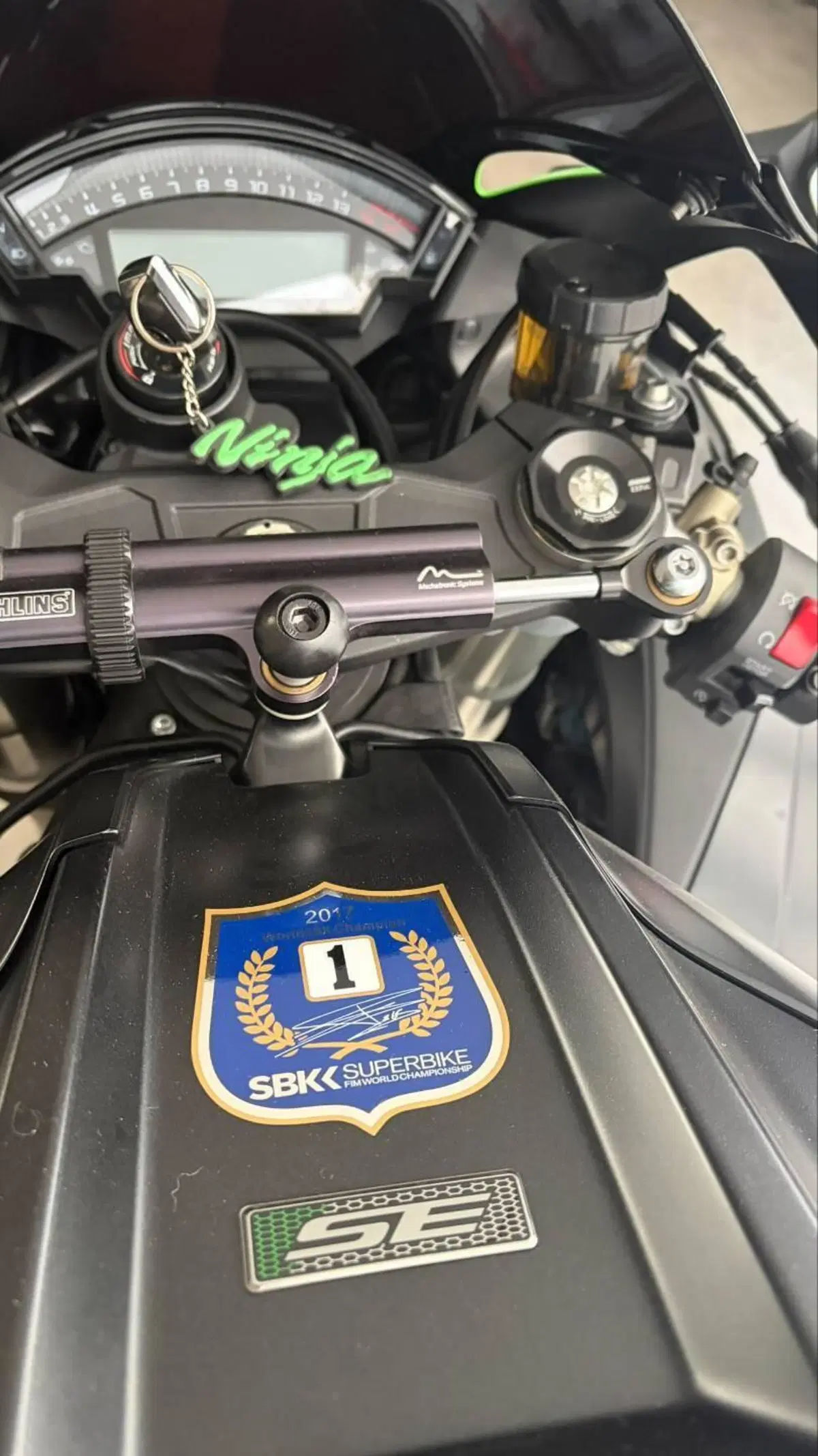 Kawasaki Ninja 1000 ZX-10R SE (2018) (8)
