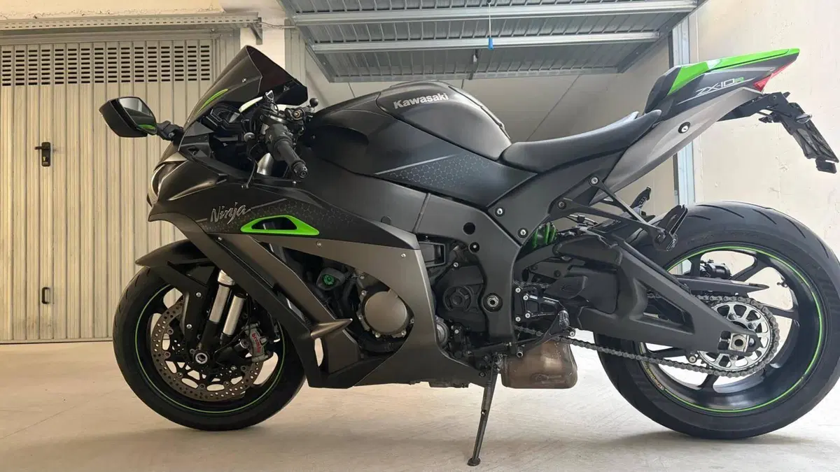 Kawasaki Ninja 1000 ZX-10R SE (2018) (10)