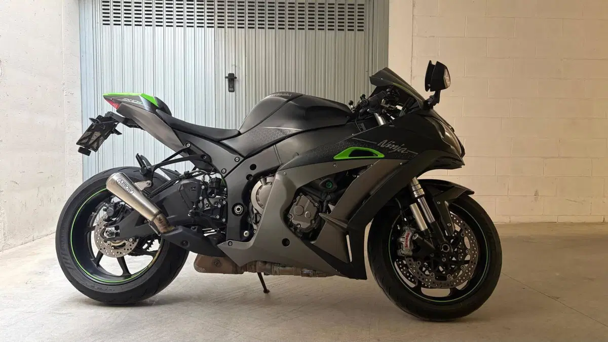 Kawasaki Ninja 1000 ZX-10R SE (2018) (11)