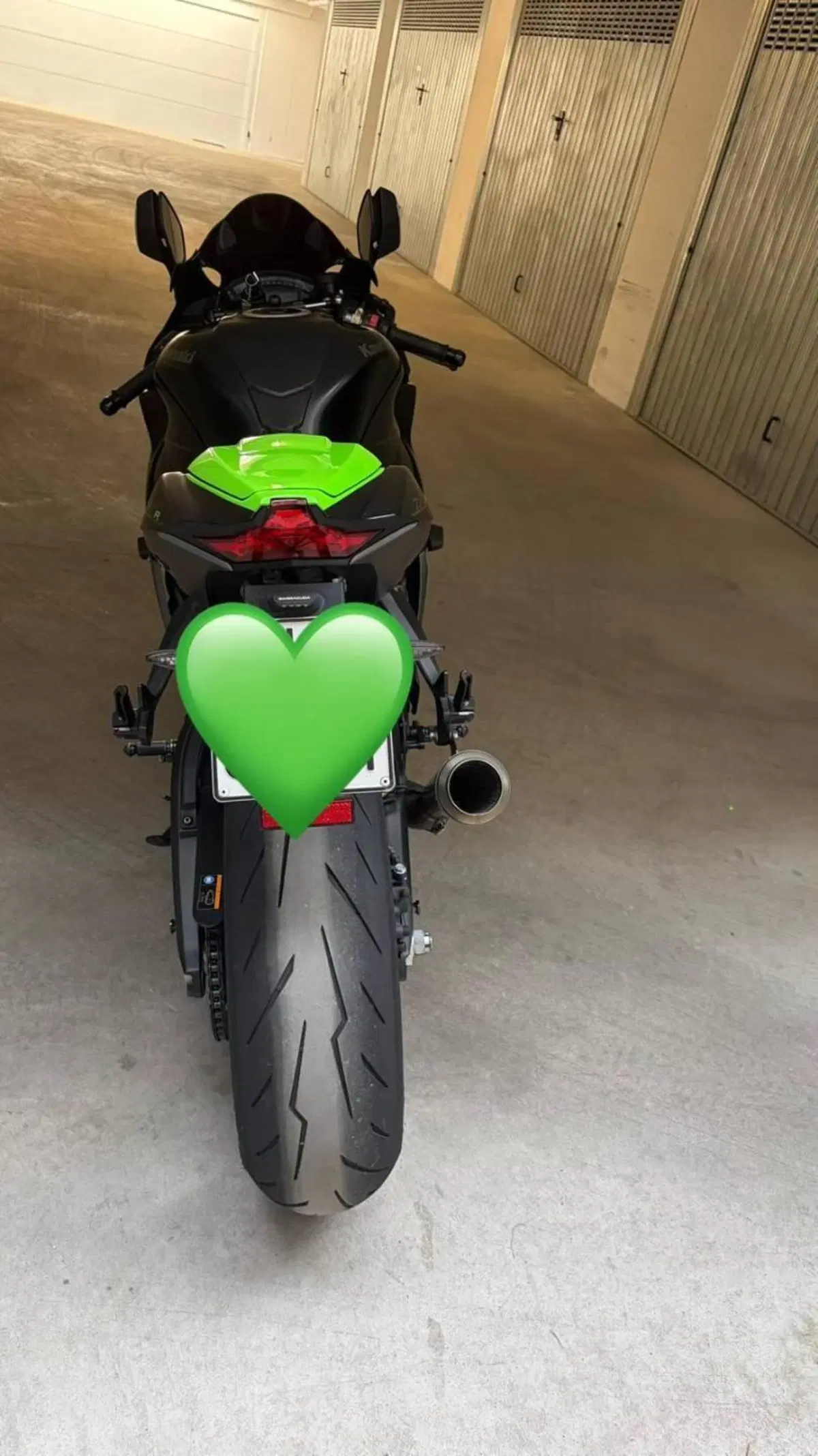 Kawasaki Ninja 1000 ZX-10R SE (2018) (12)