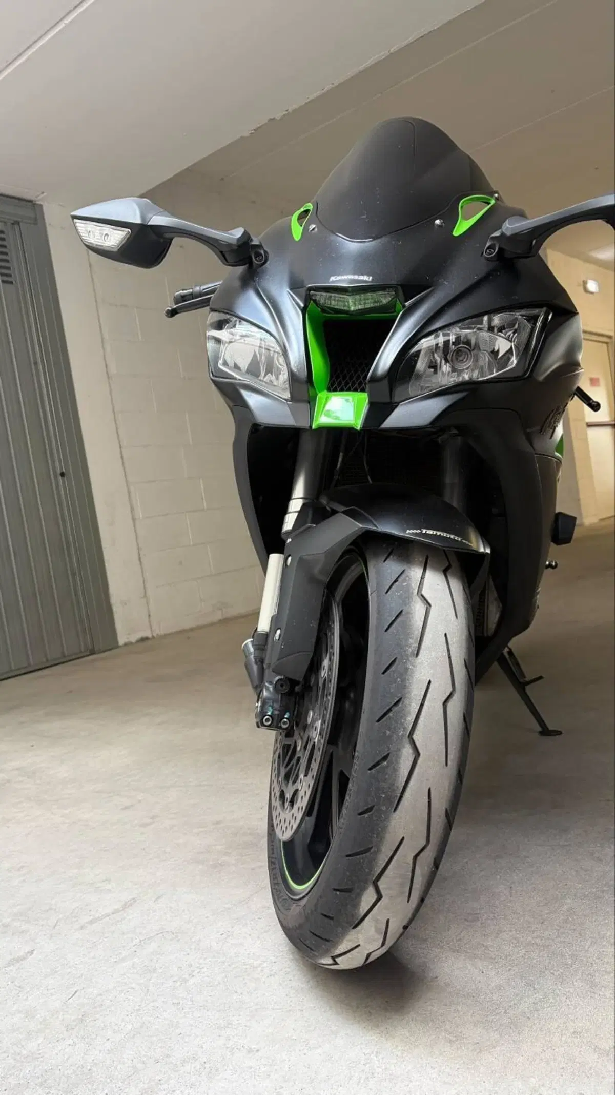 Kawasaki Ninja 1000 ZX-10R SE (2018) (14)
