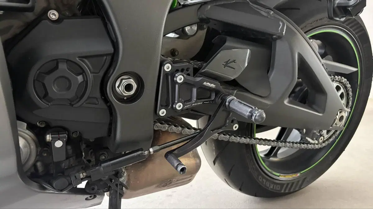 Kawasaki Ninja 1000 ZX-10R SE (2018) (15)