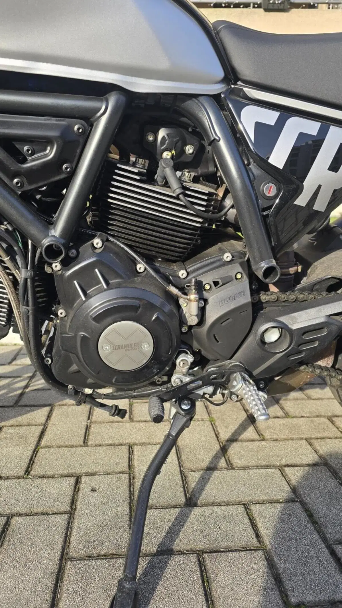Ducati Scrambler 800 Icon (2023 - 24) (3)