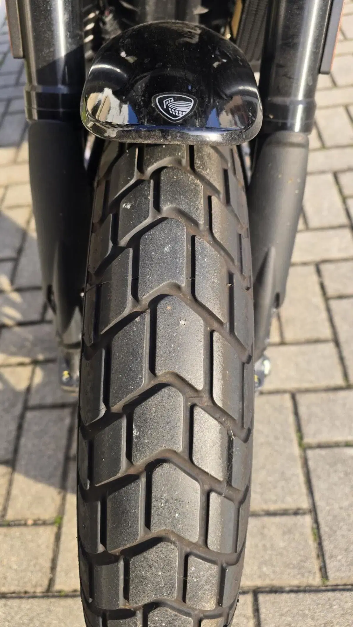 Ducati Scrambler 800 Icon (2023 - 24) (4)