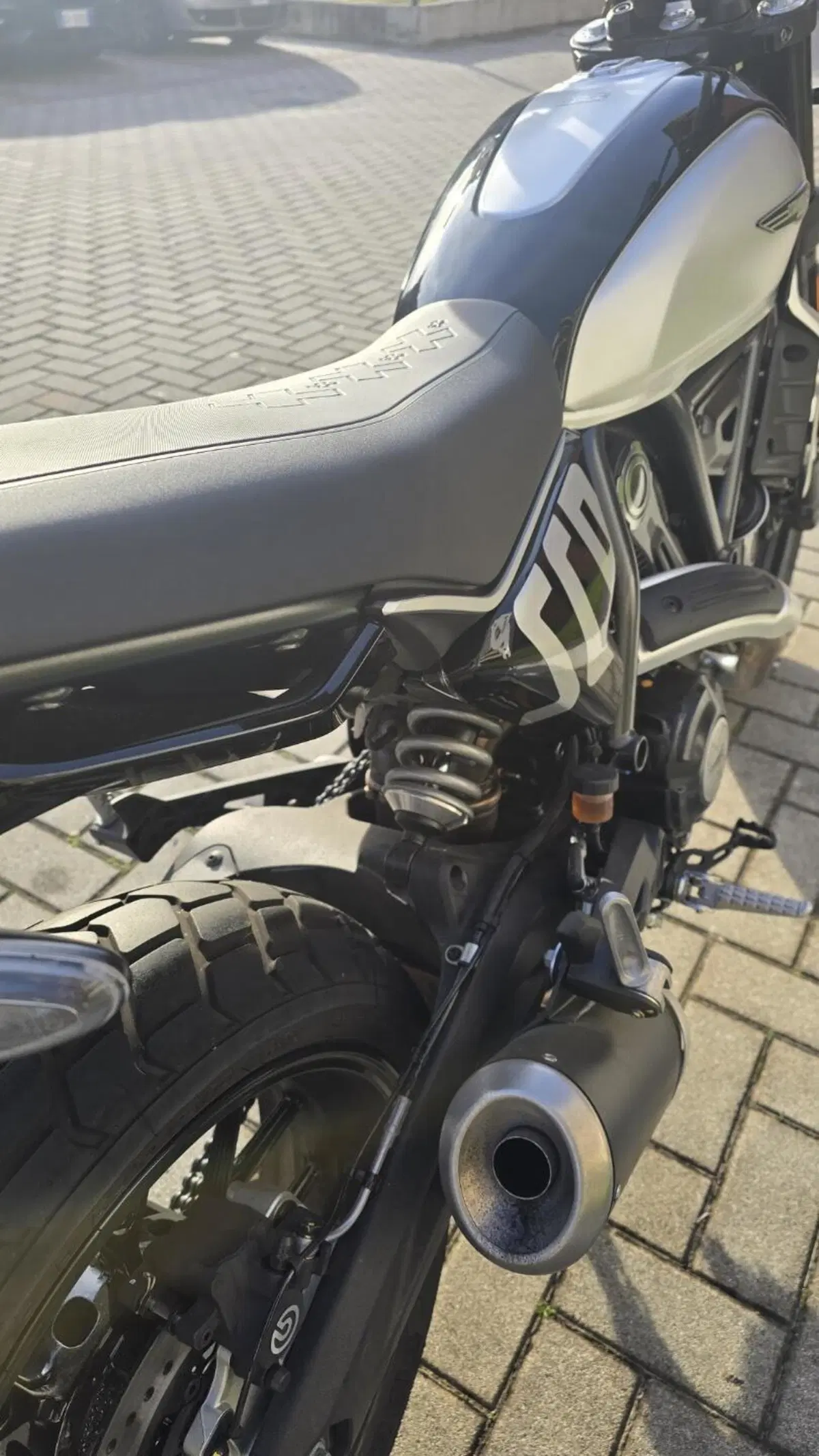 Ducati Scrambler 800 Icon (2023 - 24) (7)