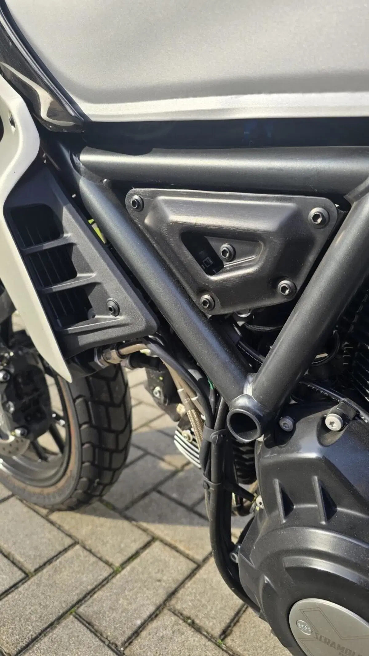 Ducati Scrambler 800 Icon (2023 - 24) (8)