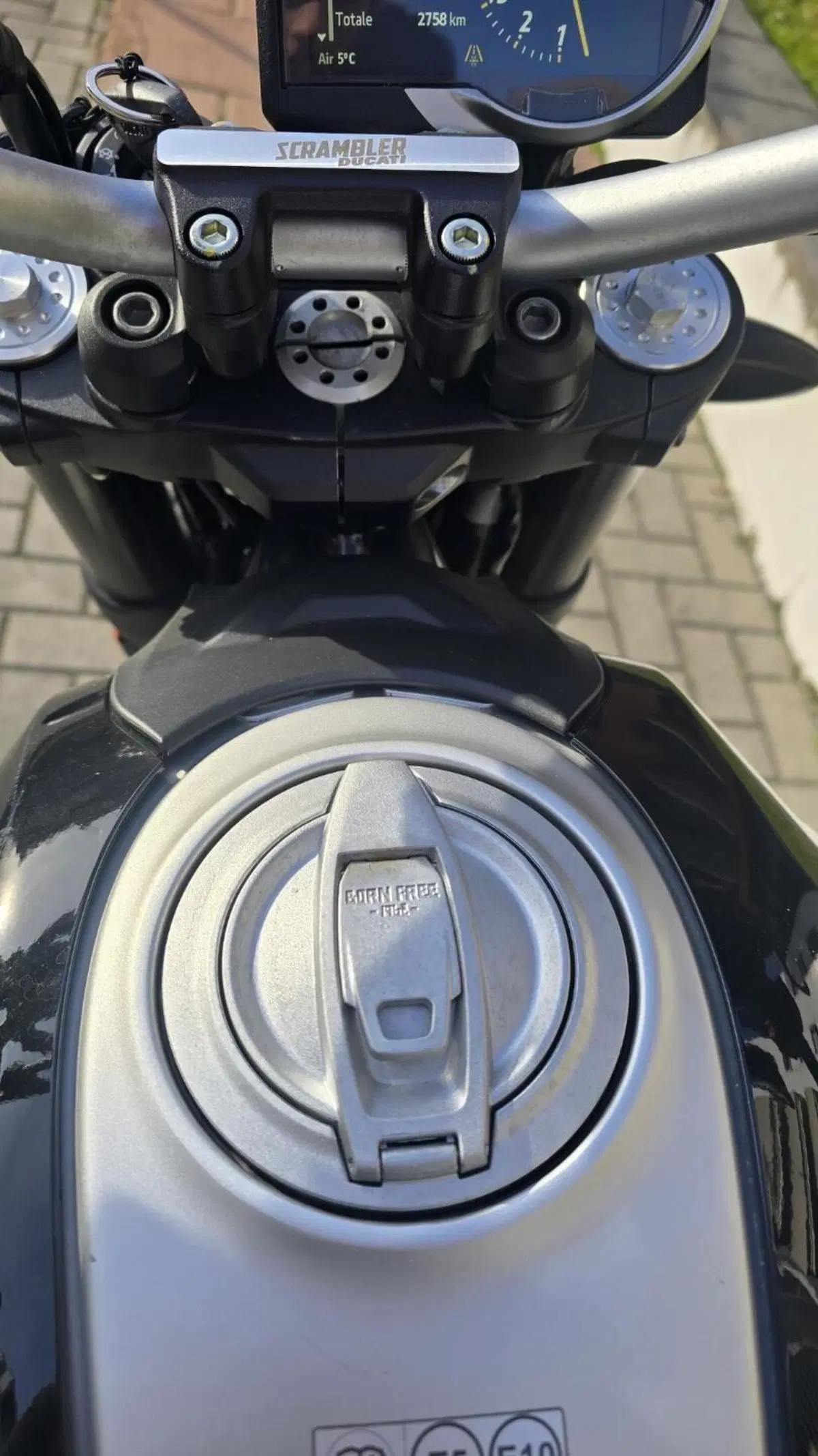 Ducati Scrambler 800 Icon (2023 - 24) (9)
