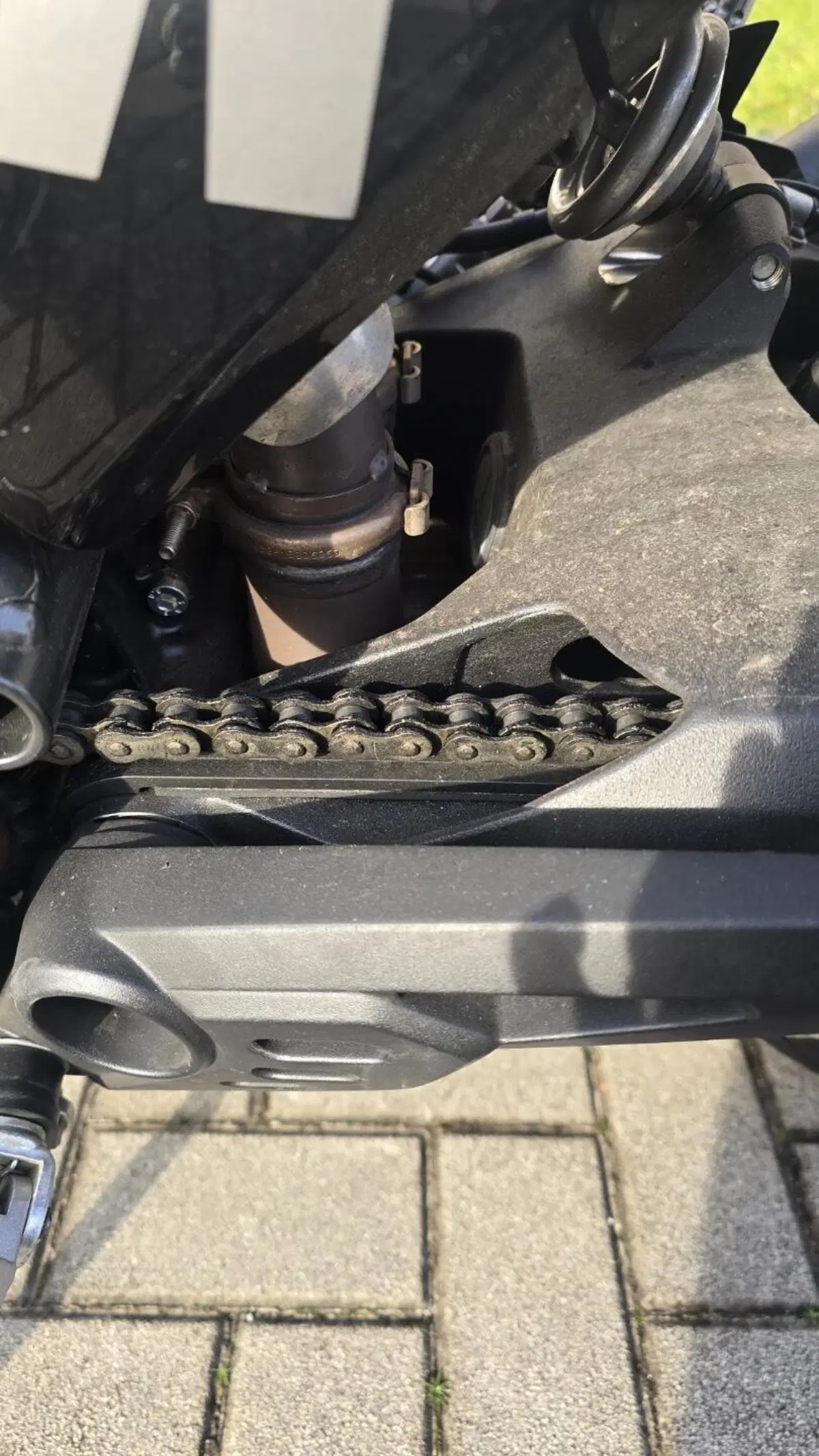 Ducati Scrambler 800 Icon (2023 - 24) (10)