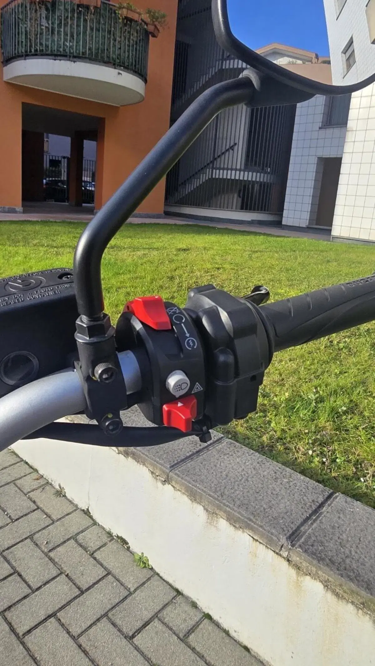 Ducati Scrambler 800 Icon (2023 - 24) (11)