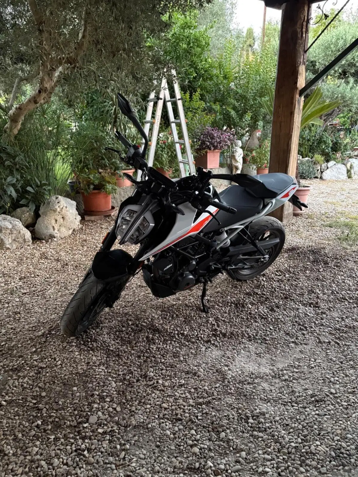 KTM 390 Duke (2021 - 23)