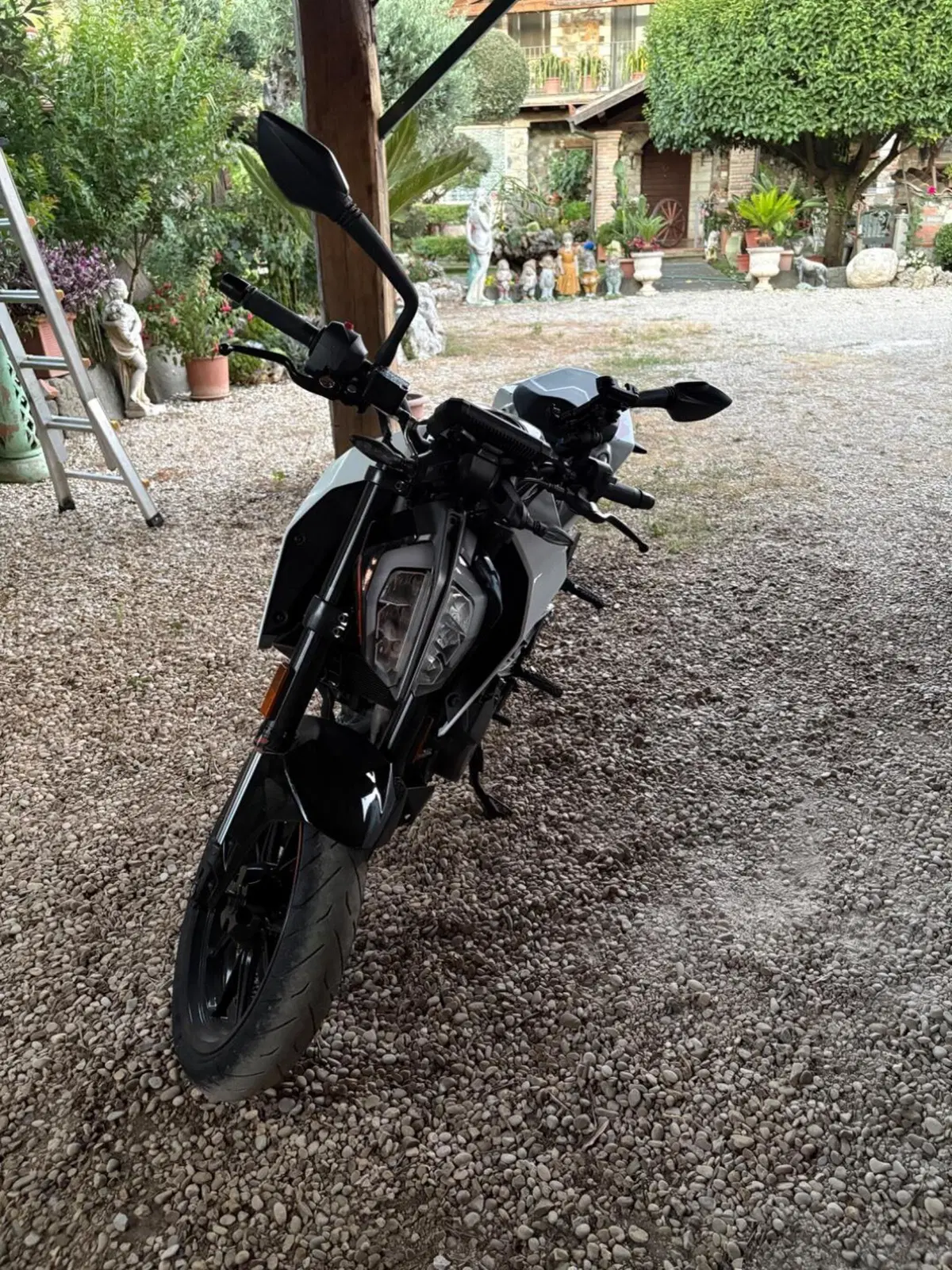 KTM 390 Duke (2021 - 23) (2)