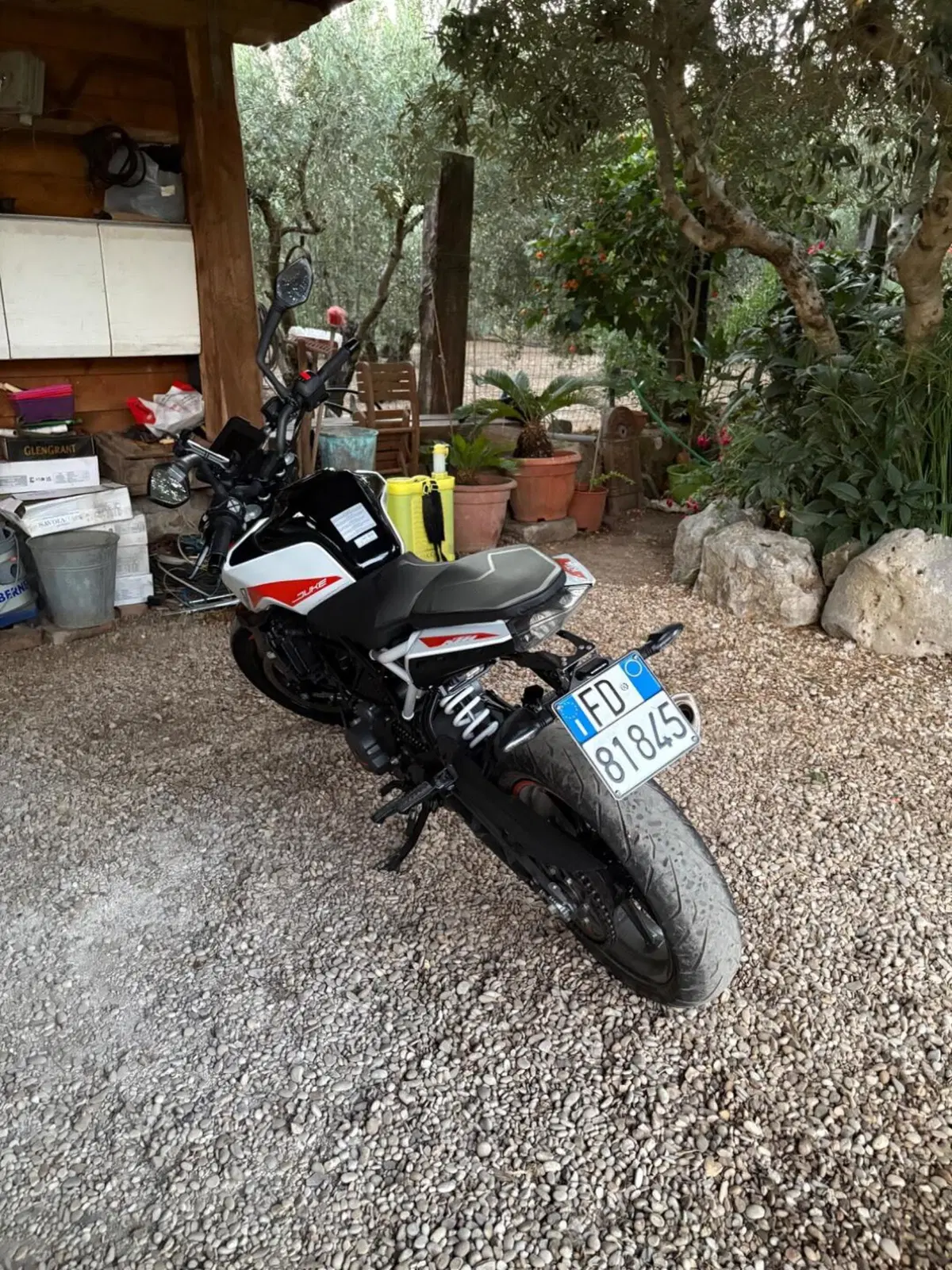 KTM 390 Duke (2021 - 23) (6)
