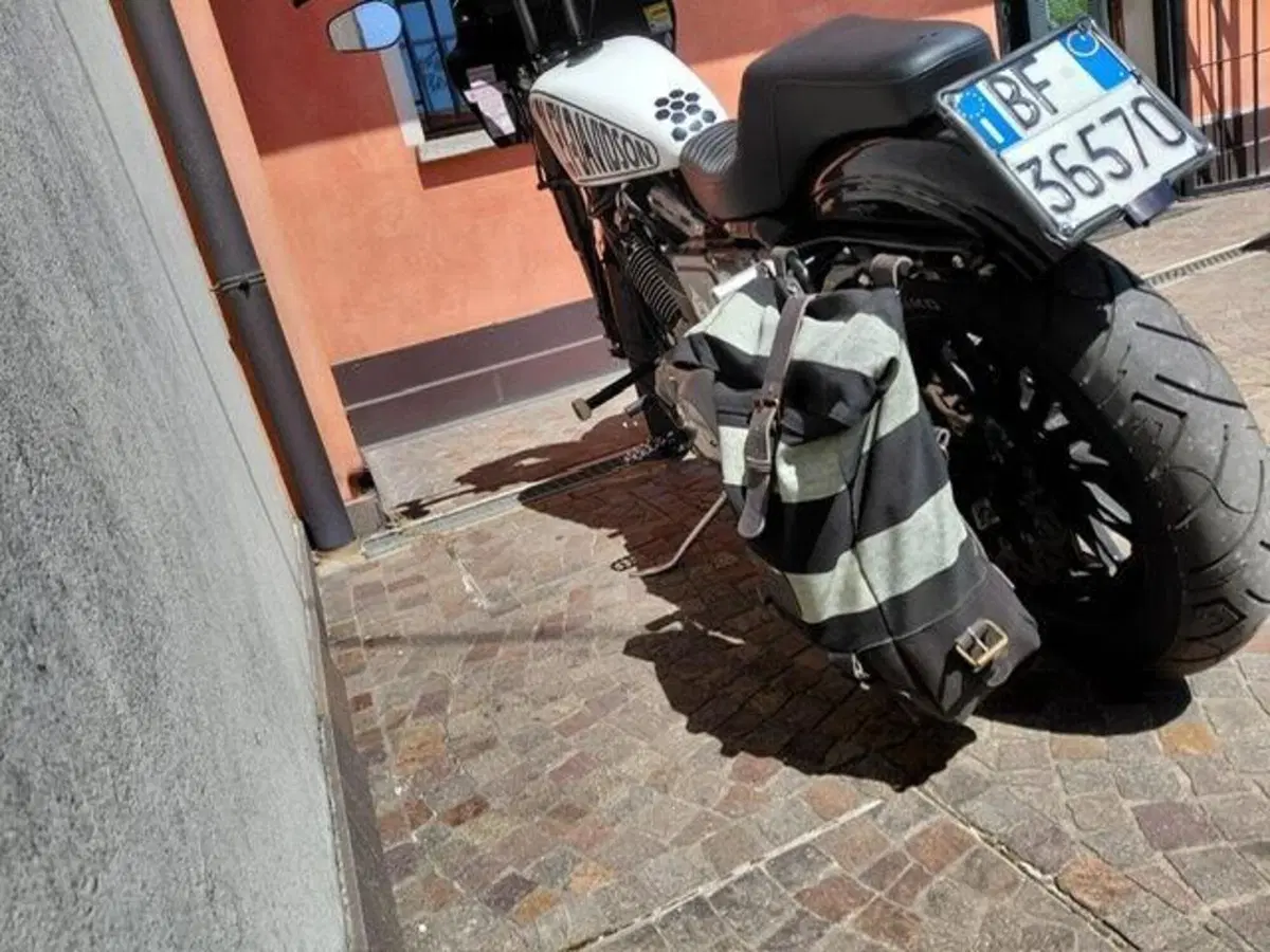 Harley-Davidson 1200 Sport (1996 - 00) - XL 1200S (3)