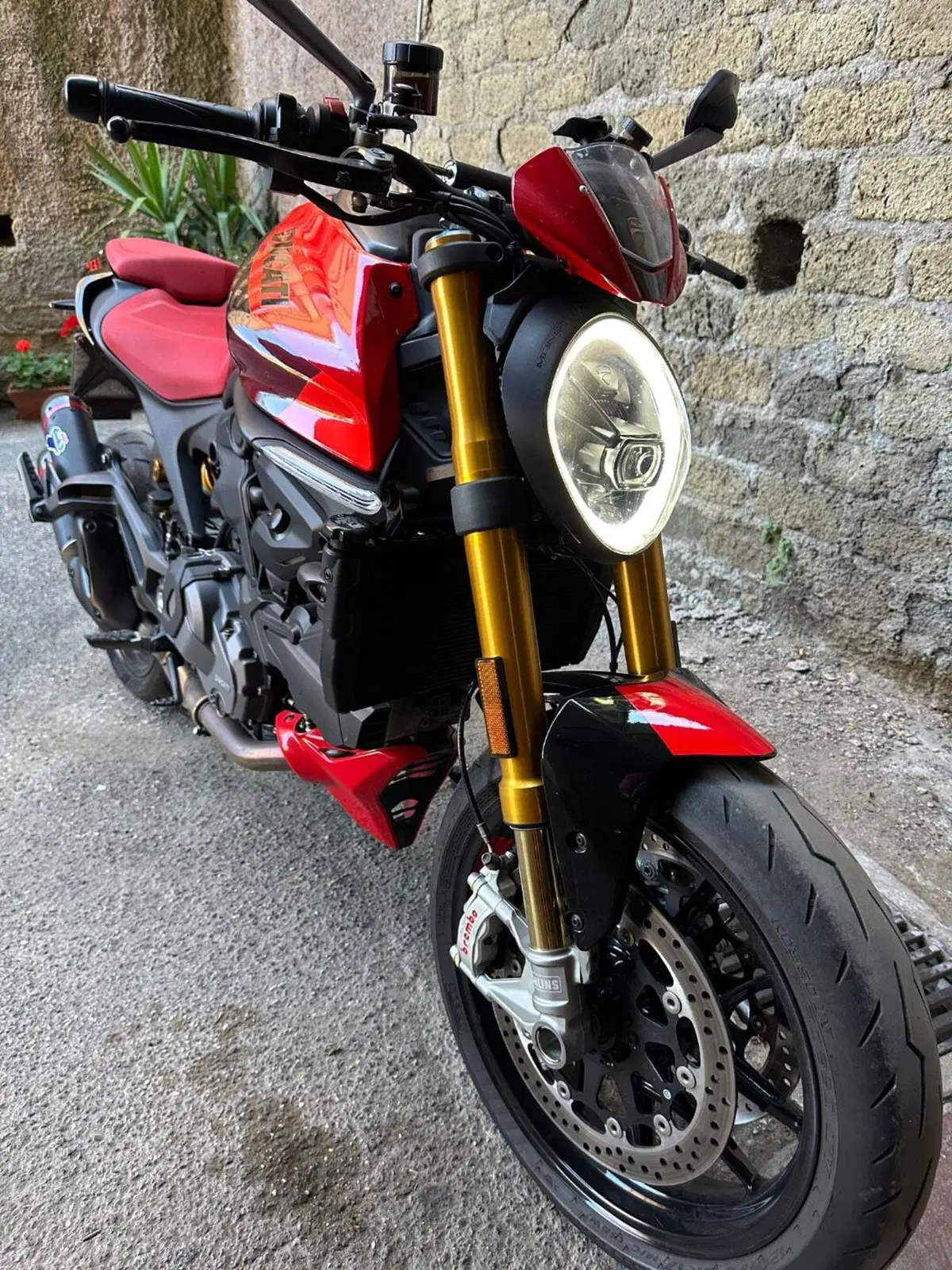 Ducati Monster 937 SP (2023 - 25) (3)