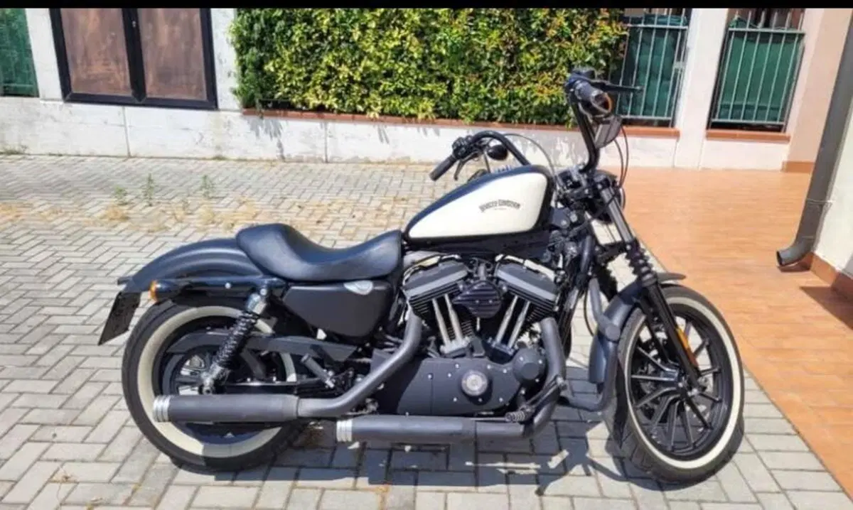Harley-Davidson 883 Iron (2009 - 11) - XL 883N (2)