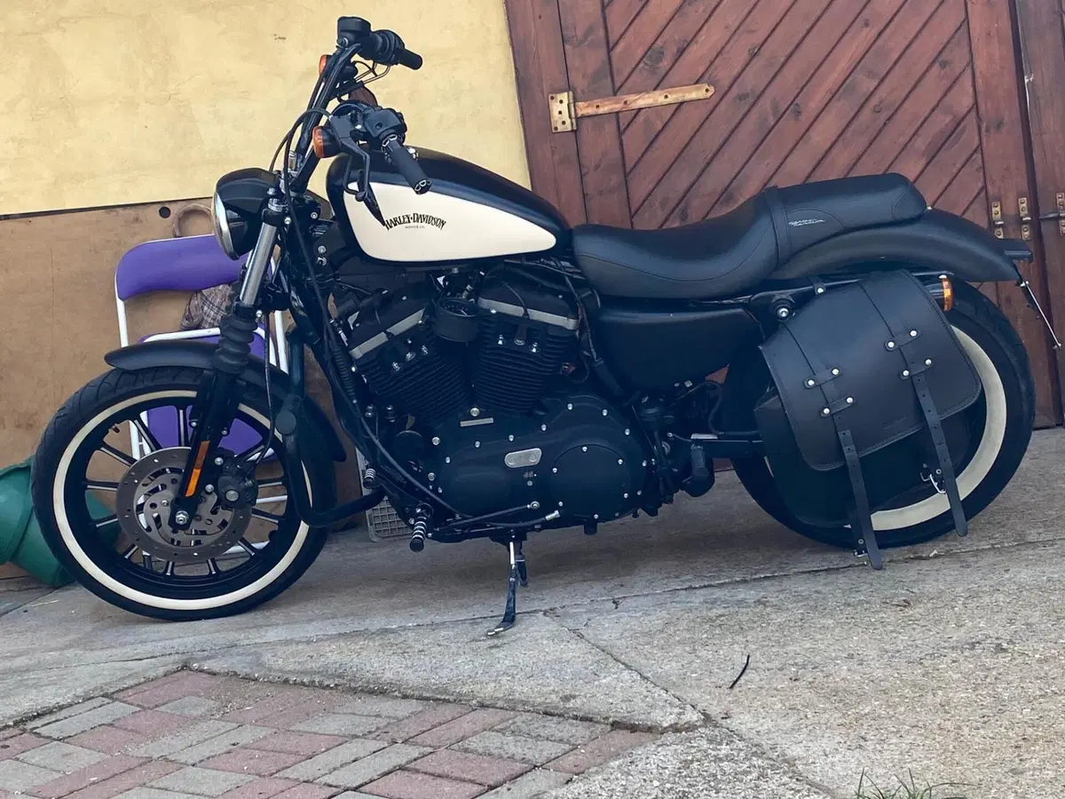 Harley-Davidson 883 Iron (2009 - 11) - XL 883N (4)
