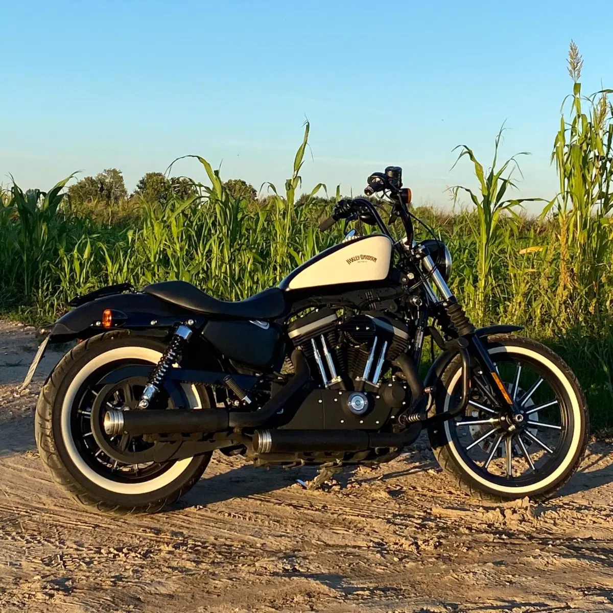 Harley-Davidson 883 Iron (2009 - 11) - XL 883N (5)