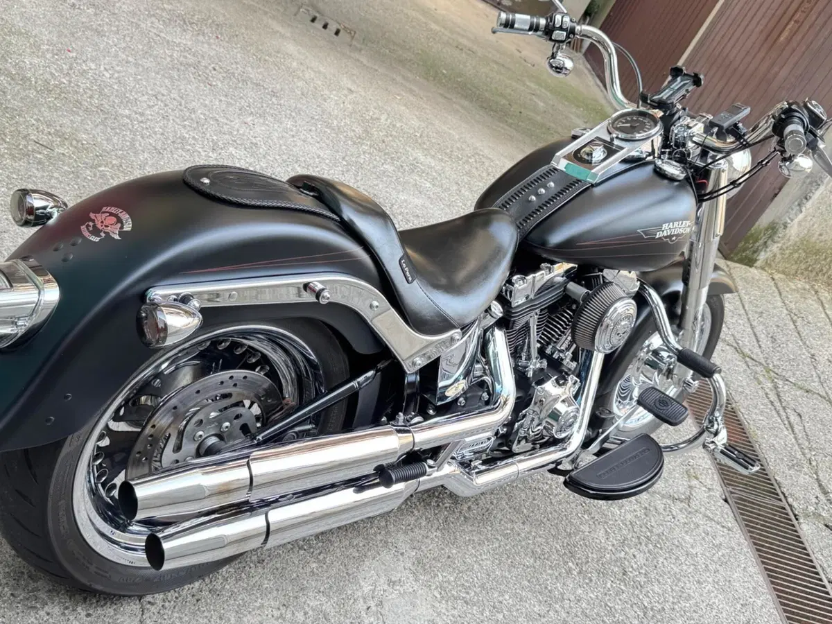 Harley-Davidson 1584 Fat Boy (2008 - 10) - FLSTF (4)