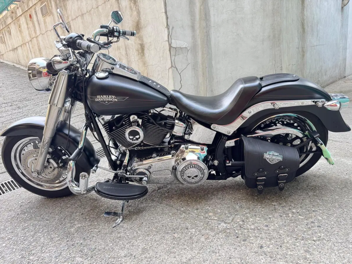 Harley-Davidson 1584 Fat Boy (2008 - 10) - FLSTF (2)