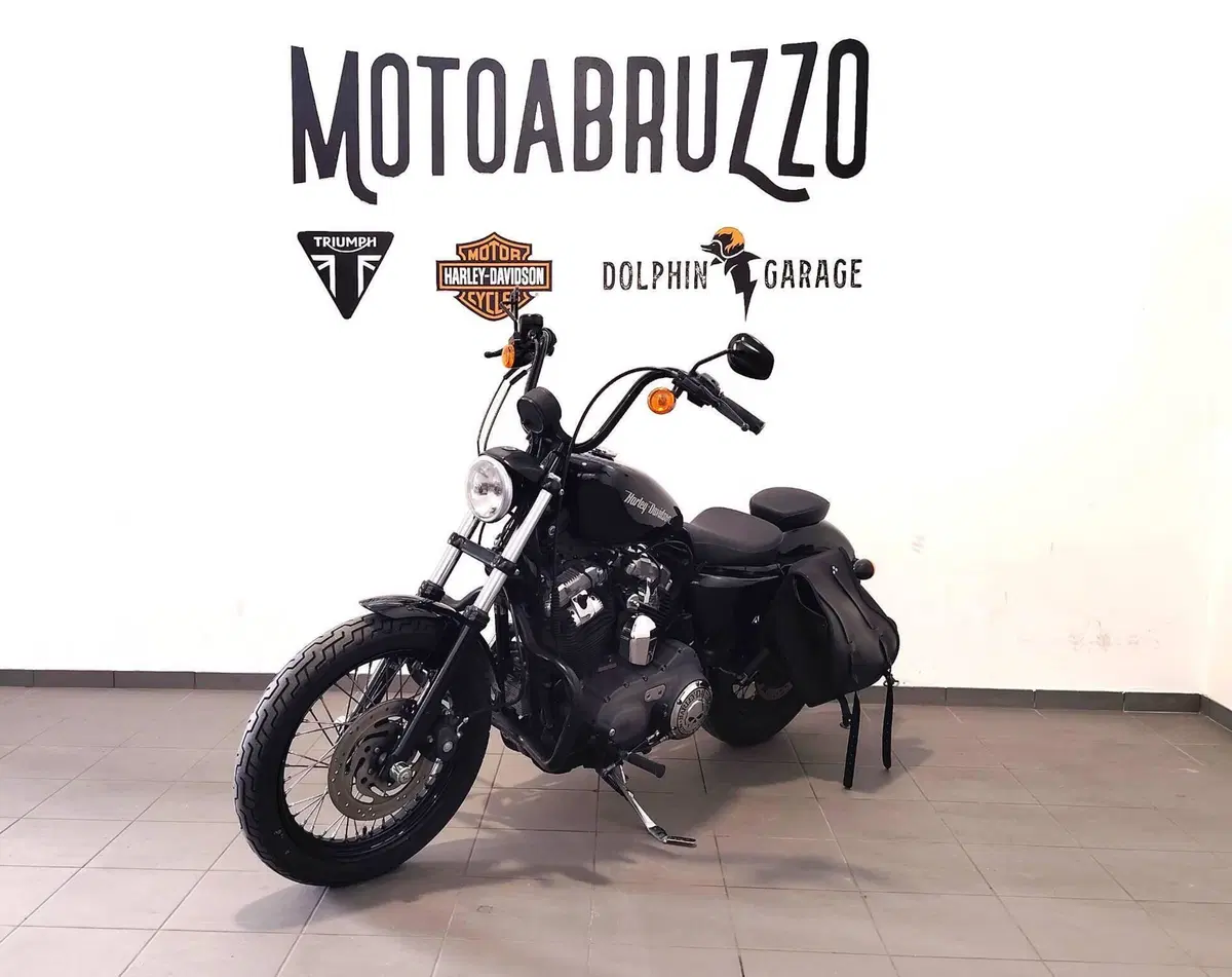 Harley-Davidson XL 1200N Nightster (2008 - 12) (6)
