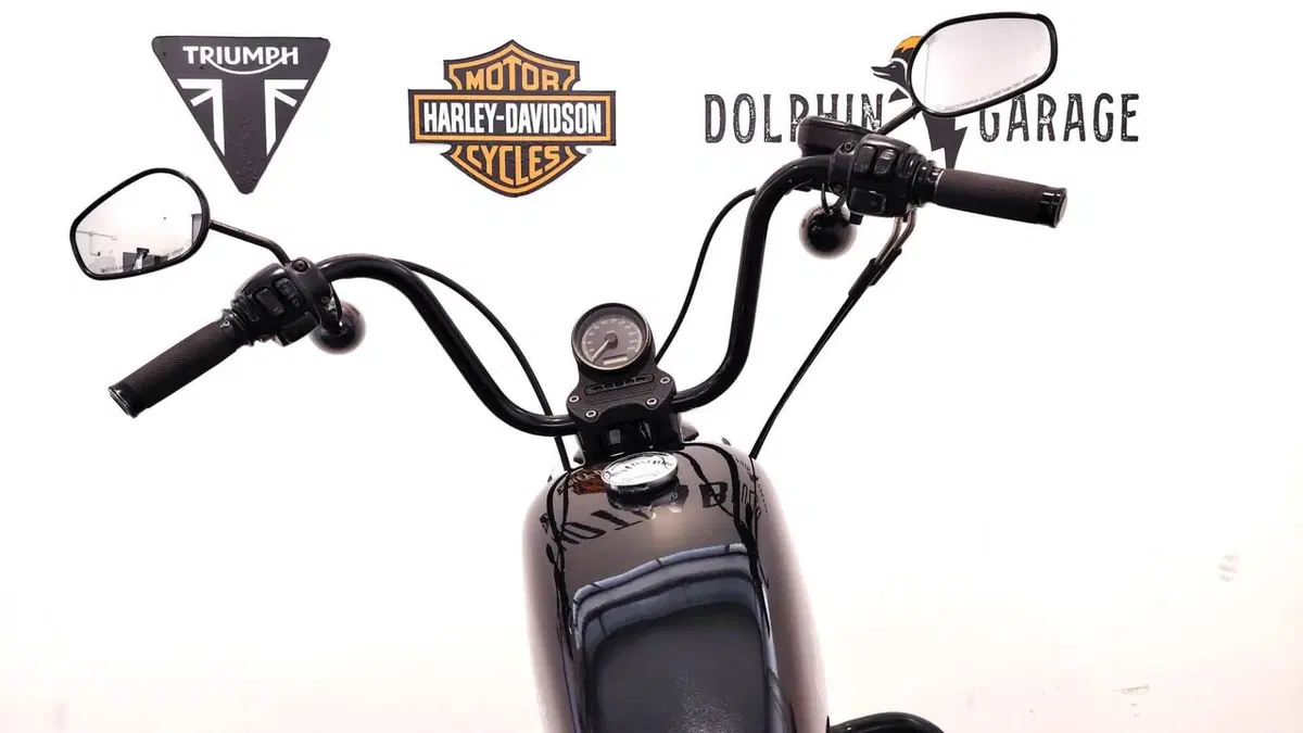 Harley-Davidson XL 1200N Nightster (2008 - 12) (13)