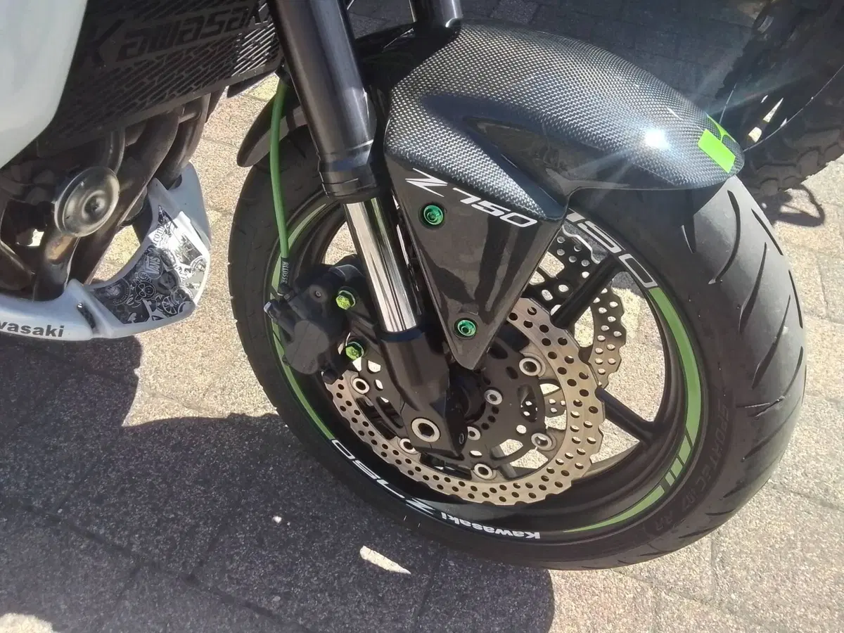 Kawasaki Z 750 (2007 - 14) (18)