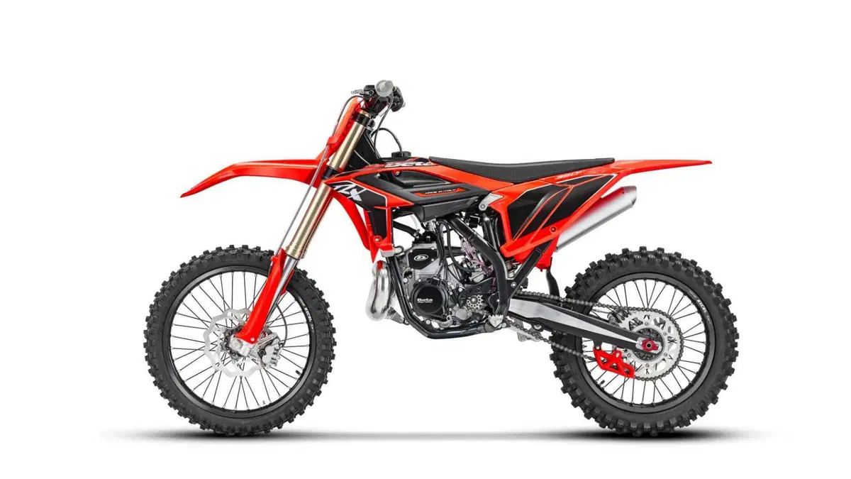 Betamotor RX 350 2T RX 350 2T (2027) (2)