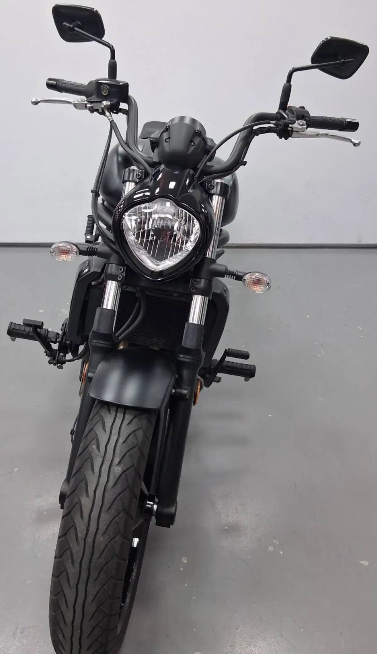 Kawasaki Vulcan S (2025 - 26) (2)