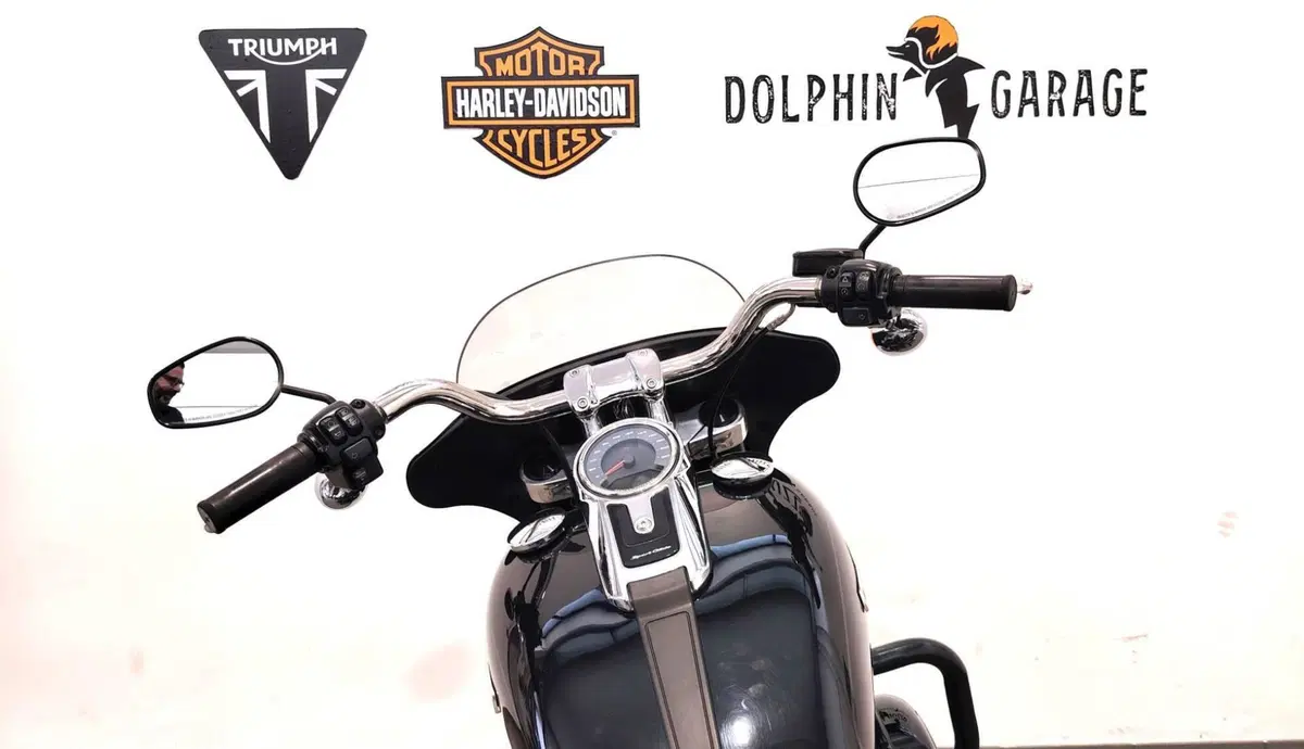 Harley-Davidson 107 Sport Glide (2018 - 20) (13)