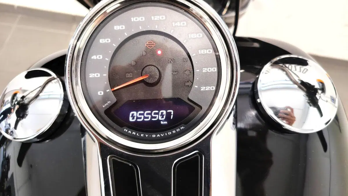Harley-Davidson 107 Sport Glide (2018 - 20) (14)