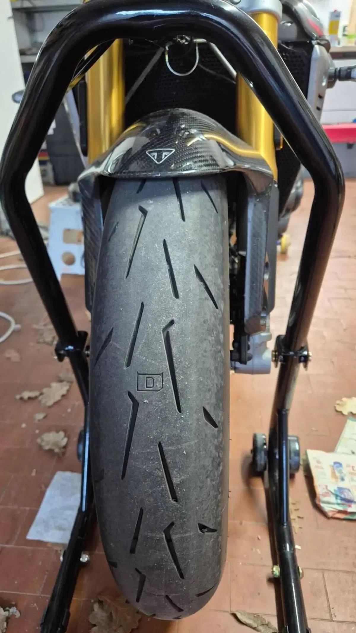 Triumph Speed Triple 1200 RS (2021 - 24) (3)