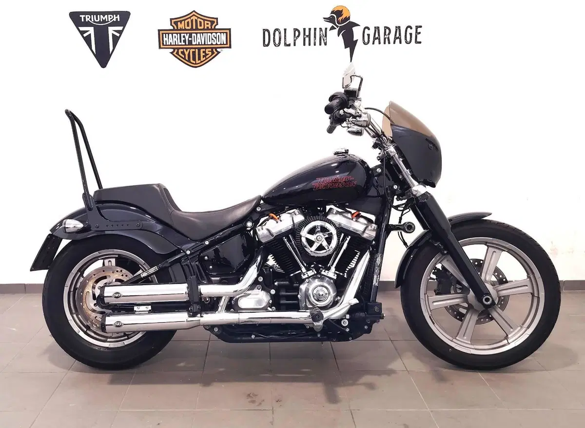 Harley-Davidson Softail Standard (2021 - 25) (2)