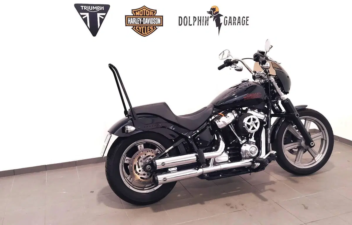 Harley-Davidson Softail Standard (2021 - 25) (3)