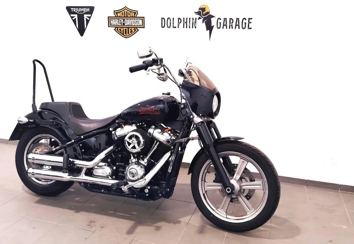 Harley-Davidson Softail Standard (2021 - 25) (4)