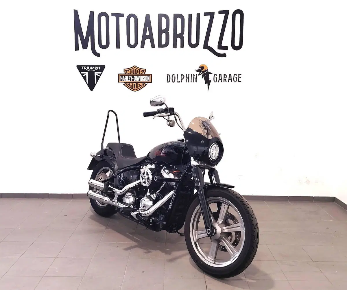 Harley-Davidson Softail Standard (2021 - 25) (5)