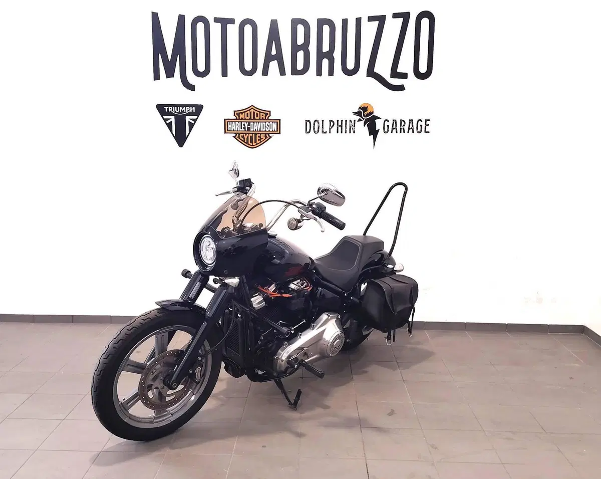 Harley-Davidson Softail Standard (2021 - 25) (6)