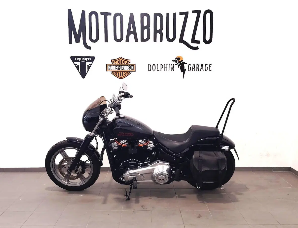 Harley-Davidson Softail Standard (2021 - 25) (7)