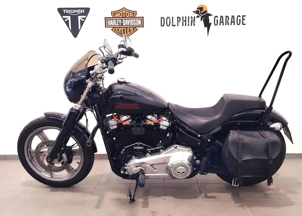 Harley-Davidson Softail Standard (2021 - 25) (8)