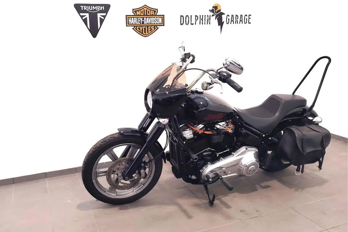 Harley-Davidson Softail Standard (2021 - 25) (9)