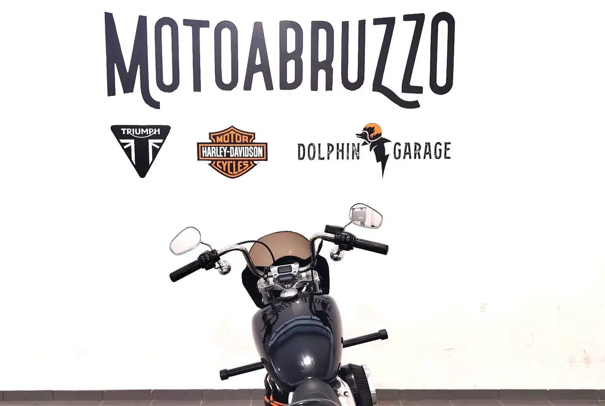 Harley-Davidson Softail Standard (2021 - 25) (12)