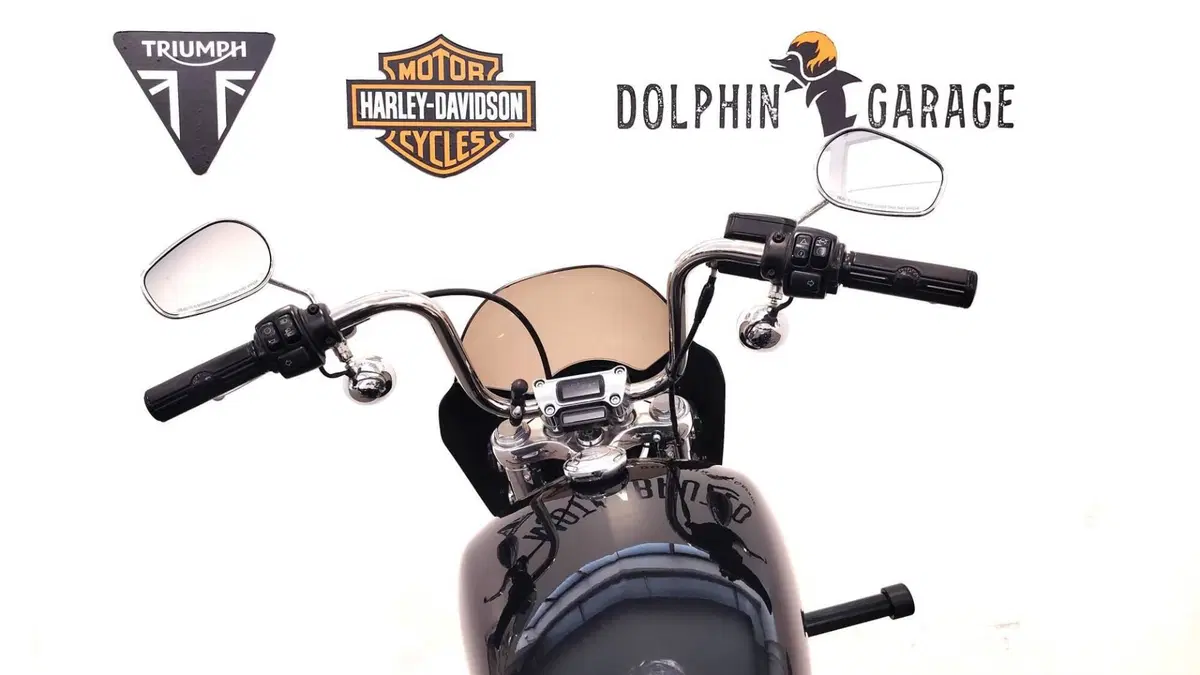 Harley-Davidson Softail Standard (2021 - 25) (13)