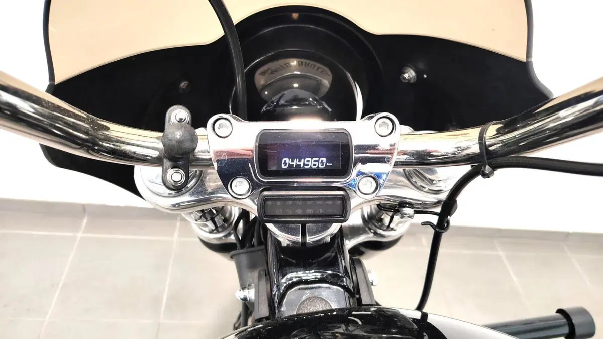 Harley-Davidson Softail Standard (2021 - 25) (14)