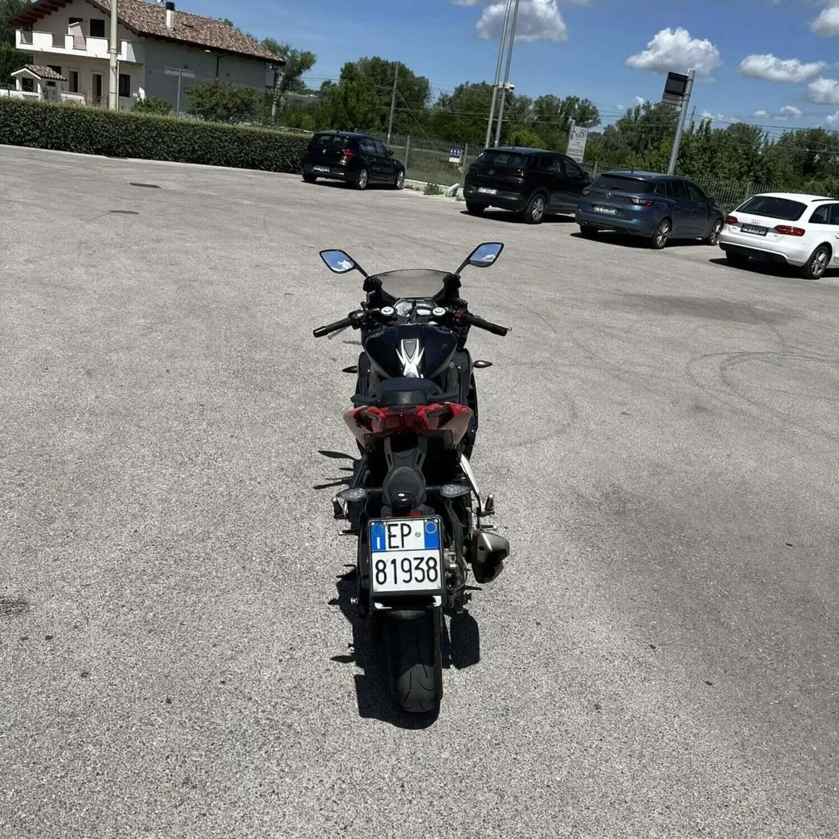 Benelli BN 302 R (2017 - 20) (5)
