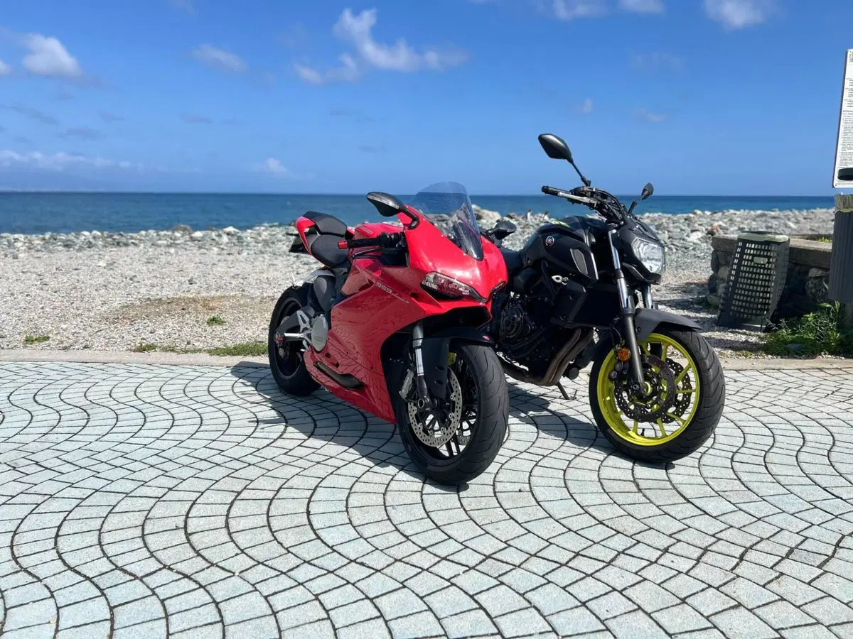 Ducati 959 Panigale (2016 - 19) (6)