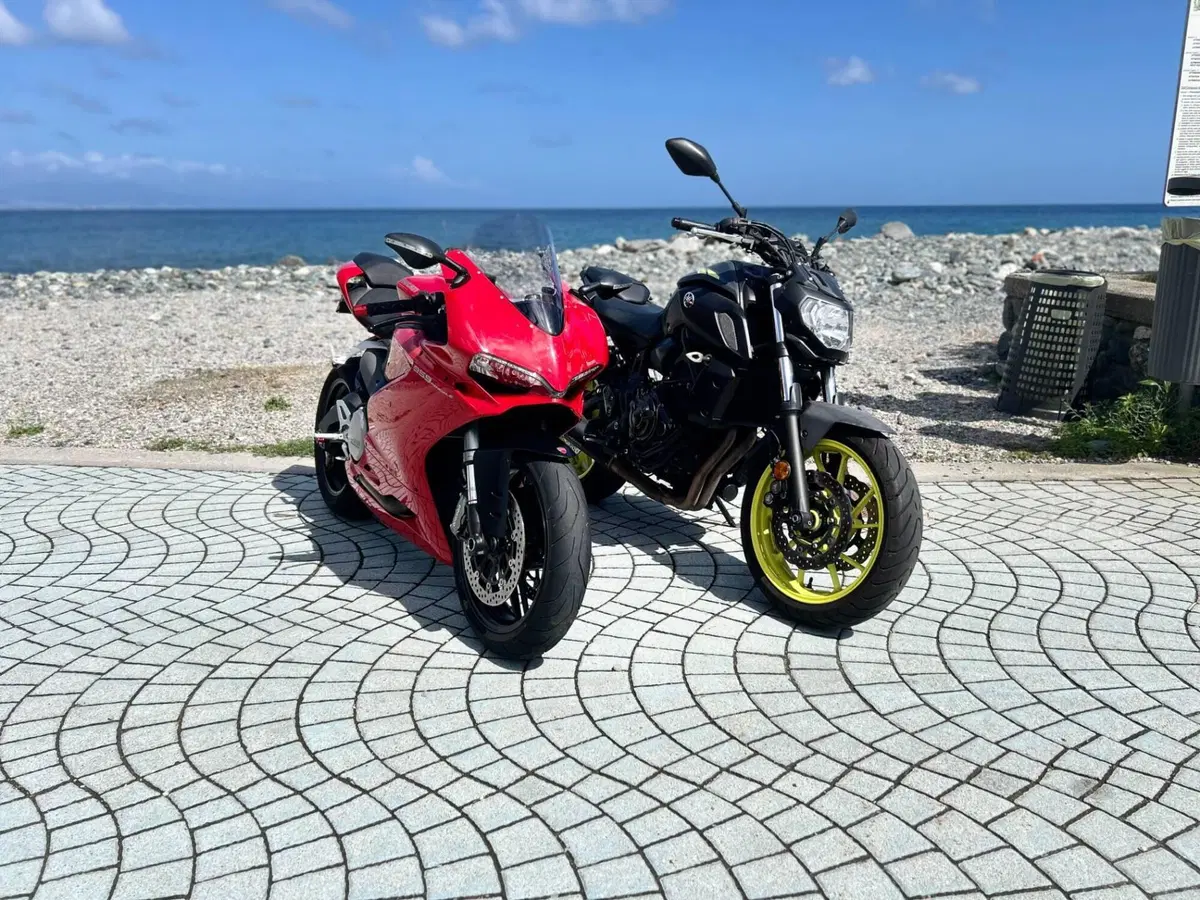 Ducati 959 Panigale (2016 - 19) (7)
