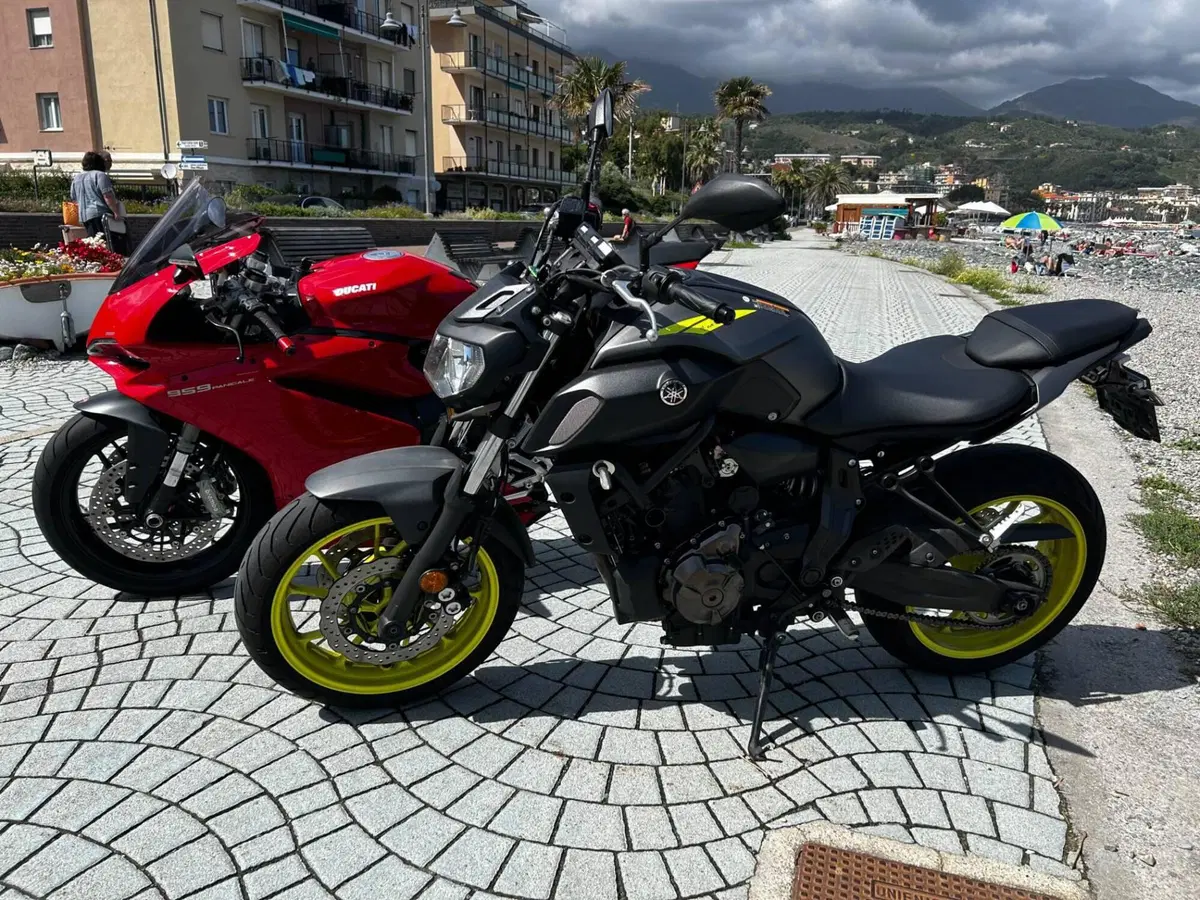 Ducati 959 Panigale (2016 - 19) (9)