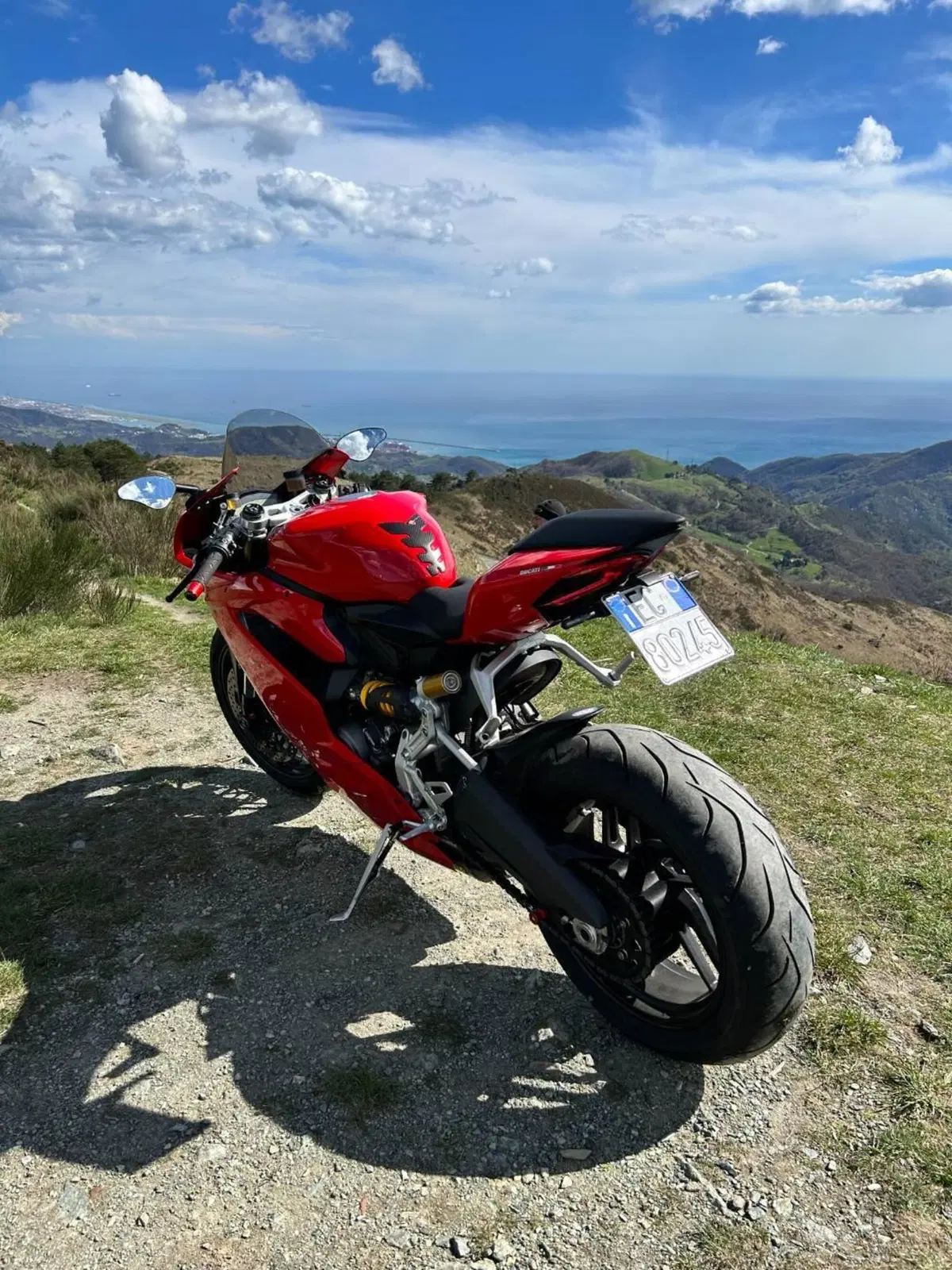 Ducati 959 Panigale (2016 - 19) (12)