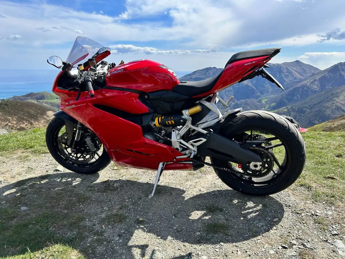 Ducati 959 Panigale (2016 - 19) (14)