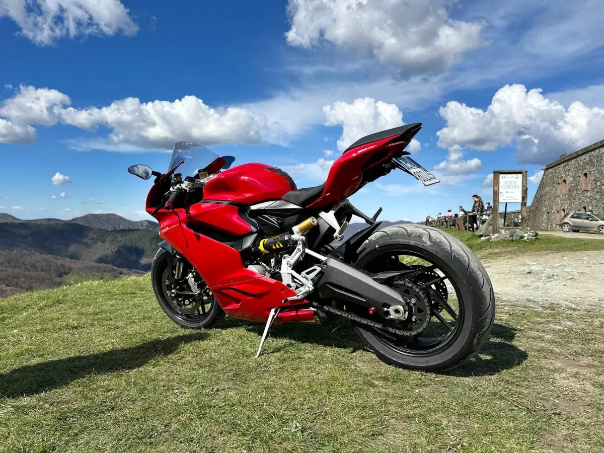 Ducati 959 Panigale (2016 - 19) (15)