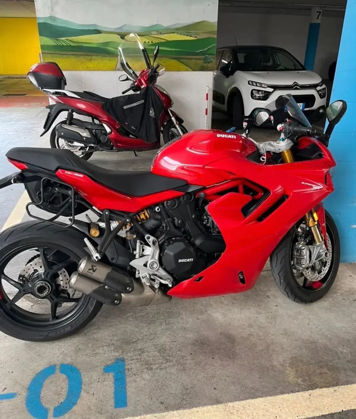 Ducati SuperSport 950 S (2021 - 24) (6)